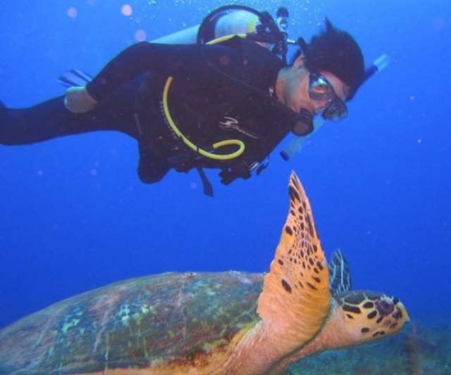 Buceo con tortugas marinas